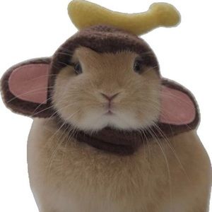 Meet your Posher, Lydia